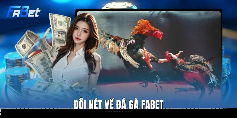 Đôi nét về sảnh Đá Gà Fabet